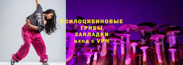 ешки Алзамай